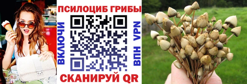 Псилоцибиновые грибы прущие грибы  Красноуфимск 
